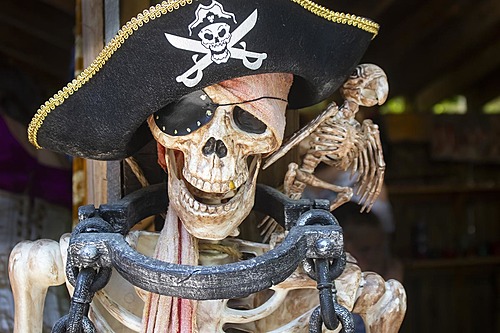 Pirate Appreciation  poster